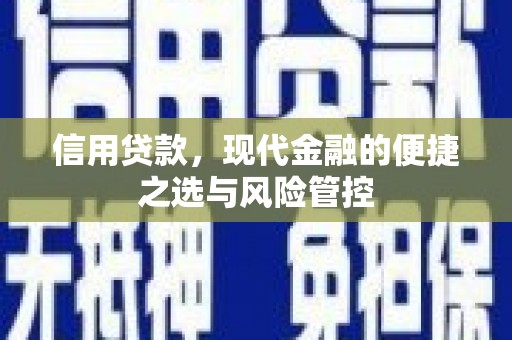 宁城信用贷款，现代金融的便捷之选与风险管控