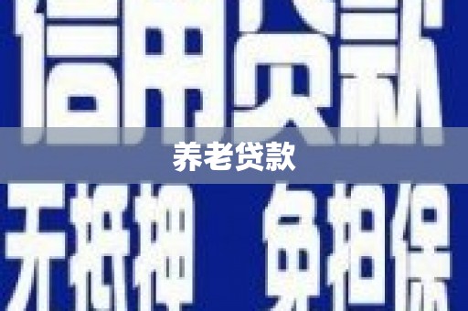 大社养老贷款