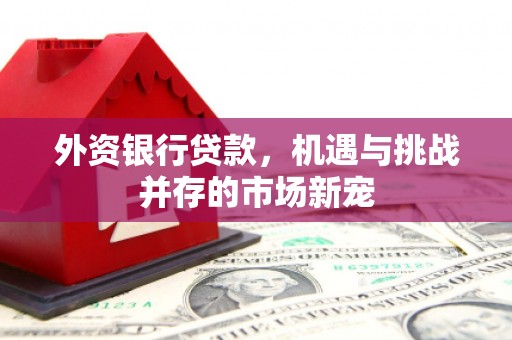 班戈外资银行贷款，机遇与挑战并存的市场新宠