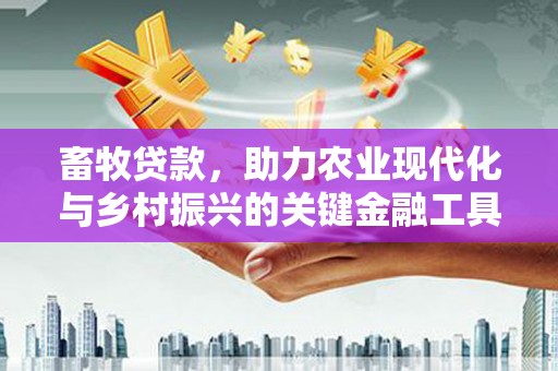 兴宾畜牧贷款，助力农业现代化与乡村振兴的关键金融工具