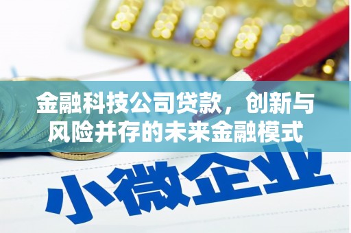士林金融科技公司贷款，创新与风险并存的未来金融模式