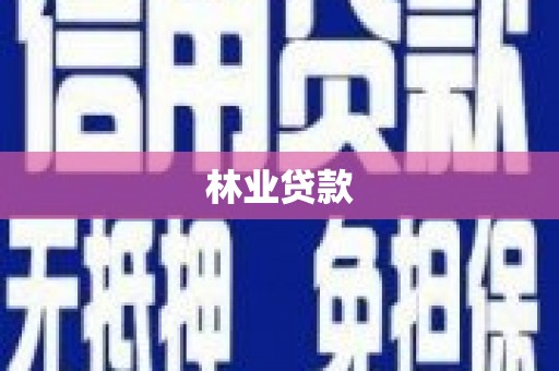 金湖林业贷款