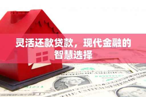 泾河灵活还款贷款，现代金融的智慧选择