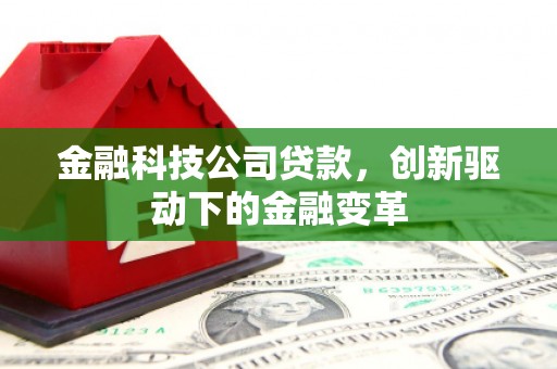 红星金融科技公司贷款，创新驱动下的金融变革
