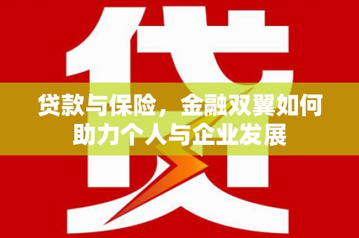 乳源贷款与保险，金融双翼如何助力个人与企业发展