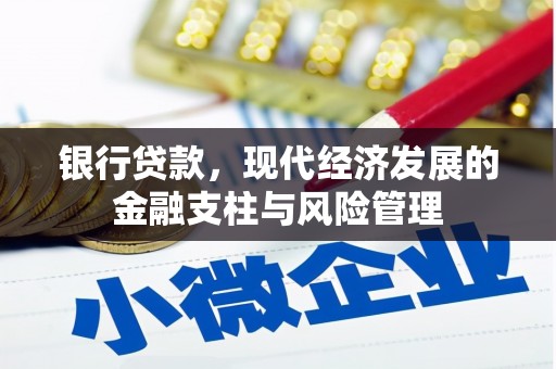 志丹银行贷款，现代经济发展的金融支柱与风险管理