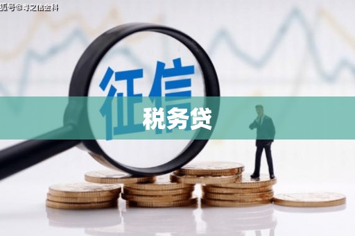古镇税务贷
