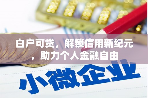 南平白户可贷，解锁信用新纪元，助力个人金融自由