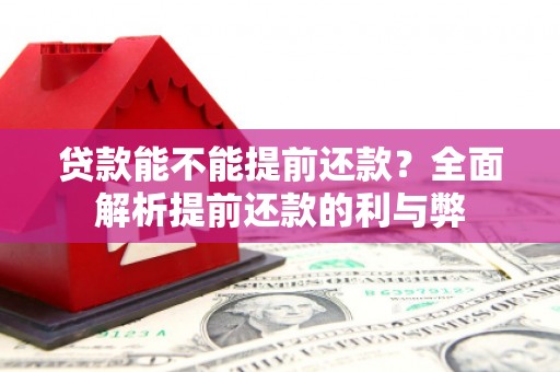 荔湾贷款能不能提前还款？全面解析提前还款的利与弊