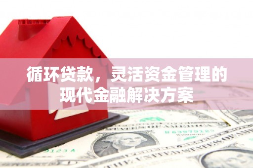 得荣循环贷款，灵活资金管理的现代金融解决方案
