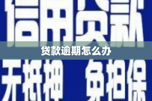 望奎贷款逾期怎么办