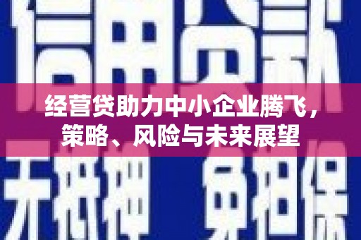 武义经营贷助力中小企业腾飞，策略、风险与未来展望