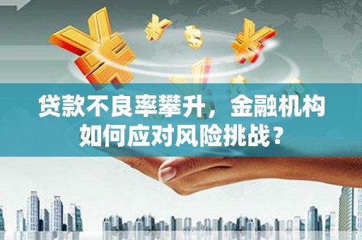 新北贷款不良率攀升，金融机构如何应对风险挑战？