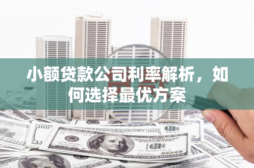 蒙阴小额贷款公司利率解析，如何选择最优方案