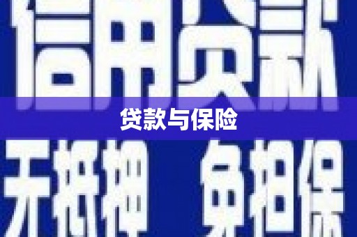 茂林贷款与保险