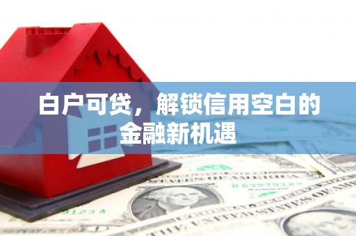 锡林浩特白户可贷，解锁信用空白的金融新机遇