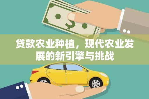 桐乡贷款农业种植，现代农业发展的新引擎与挑战