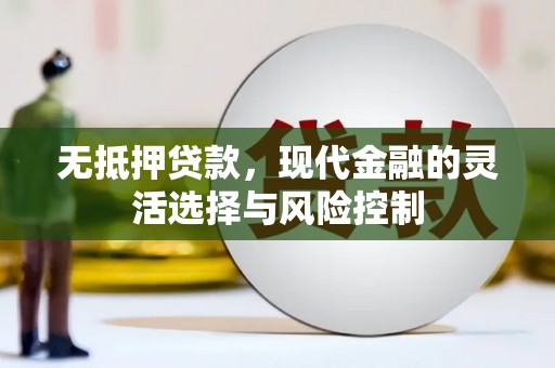 和县无抵押贷款，现代金融的灵活选择与风险控制