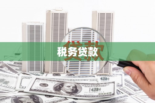 乐东税务贷款