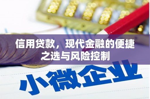 梅州信用贷款，现代金融的便捷之选与风险控制