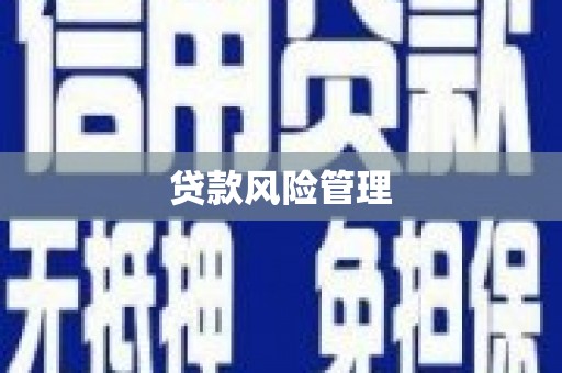永新贷款风险管理