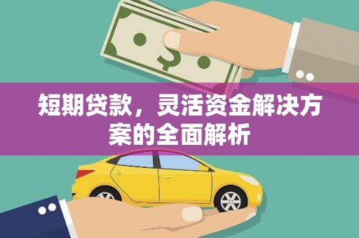岱山短期贷款，灵活资金解决方案的全面解析