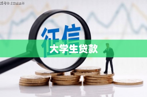 平果大学生贷款