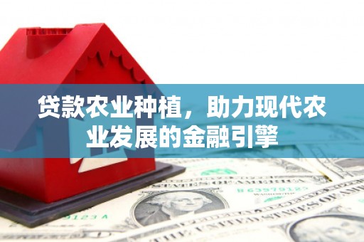 舟山新区贷款农业种植，助力现代农业发展的金融引擎
