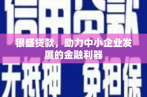 巍山银盛贷款，助力中小企业发展的金融利器