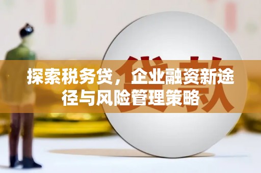 且末探索税务贷，企业融资新途径与风险管理策略