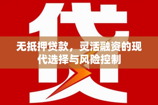 无极无抵押贷款，灵活融资的现代选择与风险控制