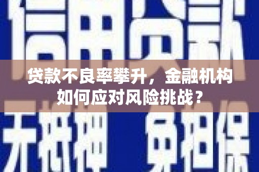 葫芦岛贷款不良率攀升，金融机构如何应对风险挑战？