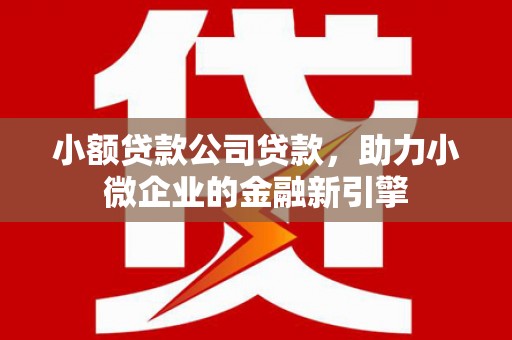 西青小额贷款公司贷款，助力小微企业的金融新引擎
