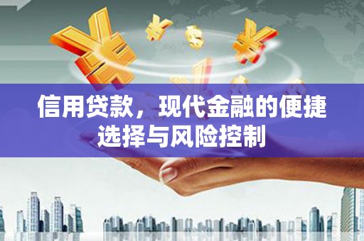印台信用贷款，现代金融的便捷选择与风险控制