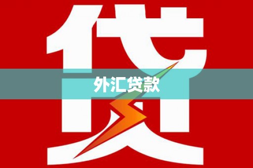 西畴外汇贷款
