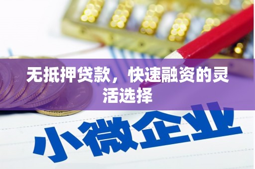 崖州无抵押贷款，快速融资的灵活选择
