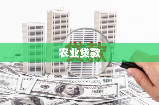 通州农业贷款
