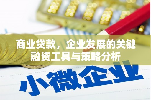 富裕商业贷款，企业发展的关键融资工具与策略分析