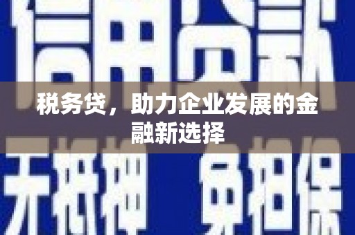 新营税务贷，助力企业发展的金融新选择