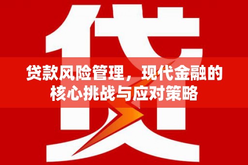 水林贷款风险管理，现代金融的核心挑战与应对策略
