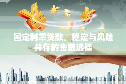 西城固定利率贷款，稳定与风险并存的金融选择