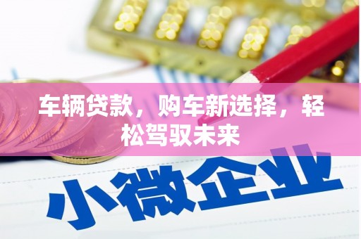 天元车辆贷款，购车新选择，轻松驾驭未来