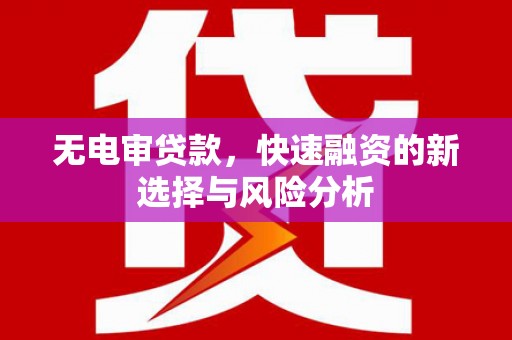 耒阳无电审贷款，快速融资的新选择与风险分析