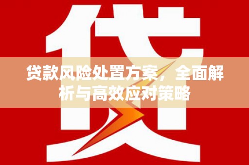 拉萨贷款风险处置方案，全面解析与高效应对策略
