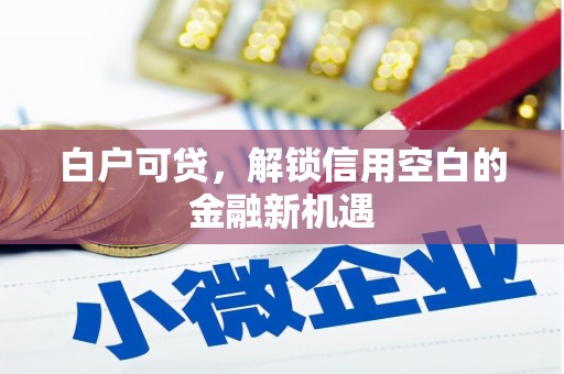渝中白户可贷，解锁信用空白的金融新机遇