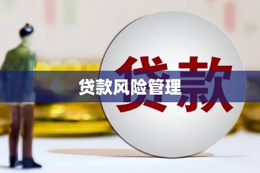 同德贷款风险管理