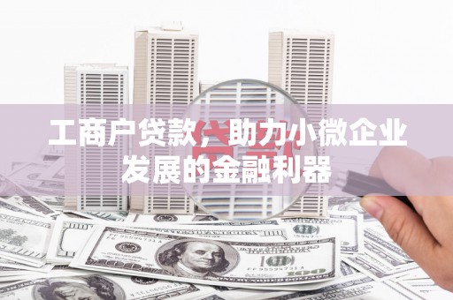 大丰工商户贷款，助力小微企业发展的金融利器