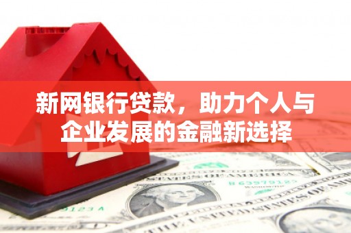 田家庵新网银行贷款，助力个人与企业发展的金融新选择