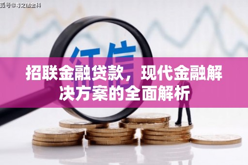 岷县招联金融贷款，现代金融解决方案的全面解析