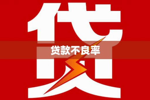 湖内贷款不良率